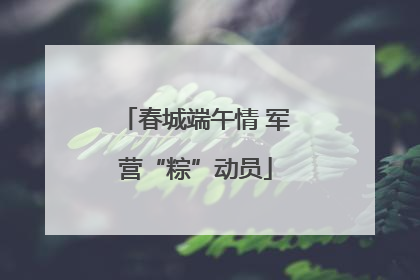 春城端午情 军营“粽”动员