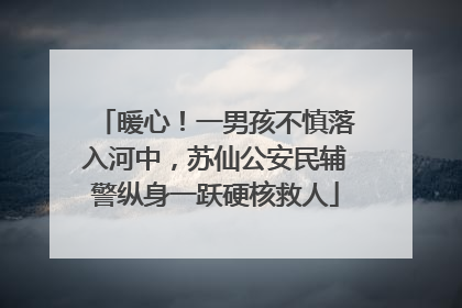暖心！一男孩不慎落入河中，苏仙公安民辅警纵身一跃硬核救人