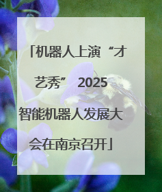 机器人上演“才艺秀” 2025智能机器人发展大会在南京召开