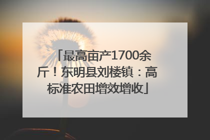 最高亩产1700余斤！东明县刘楼镇：高标准农田增效增收
