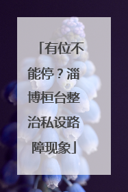 有位不能停？淄博桓台整治私设路障现象