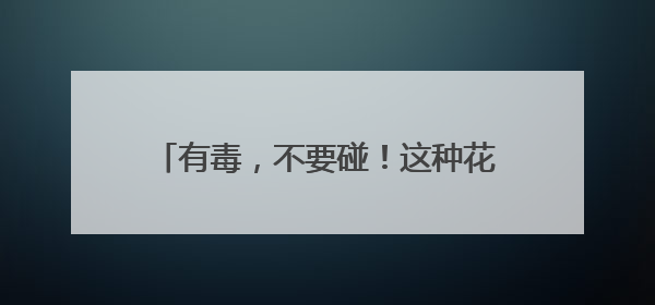 有毒，不要碰！这种花已在街头出现，《甄嬛传》中也有“科普”