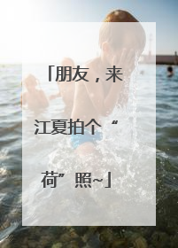 朋友，来江夏拍个“荷”照~