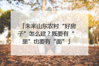 未来山东农村“好房子”怎么建？既要有“里”也要有“面”