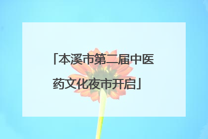 本溪市第二届中医药文化夜市开启
