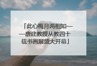 此心梅月两相知——唐建教授从教四十载书画展盛大开幕
