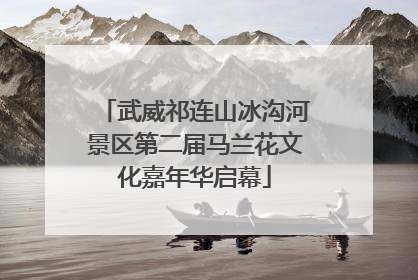 武威祁连山冰沟河景区第二届马兰花文化嘉年华启幕