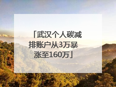 武汉个人碳减排账户从3万暴涨至160万