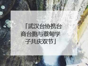 武汉台协携台商台胞与蔡甸学子共庆双节