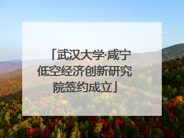 武汉大学·咸宁低空经济创新研究院签约成立