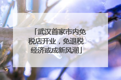 武汉首家市内免税店开业，免退税经济或成新风潮