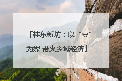 桂东新坊：以“豆”为媒 带火乡域经济