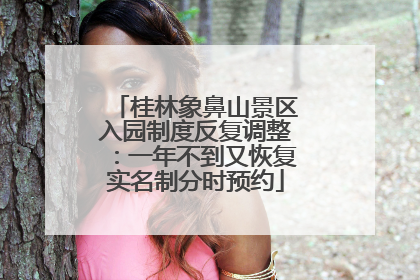 桂林象鼻山景区入园制度反复调整：一年不到又恢复实名制分时预约