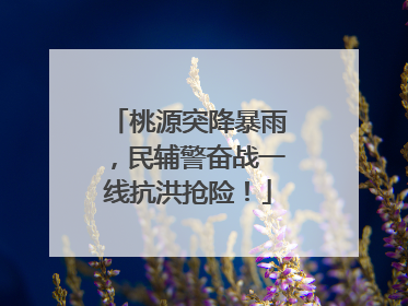 桃源突降暴雨，民辅警奋战一线抗洪抢险！