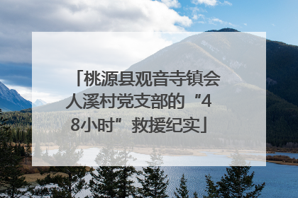 桃源县观音寺镇会人溪村党支部的“48小时”救援纪实