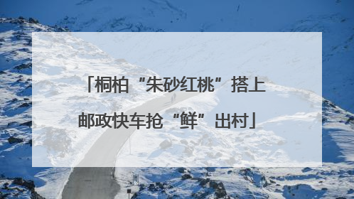 桐柏“朱砂红桃”搭上邮政快车抢“鲜”出村