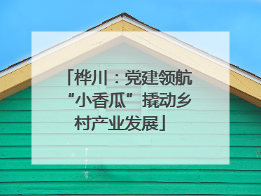桦川：党建领航“小香瓜”撬动乡村产业发展