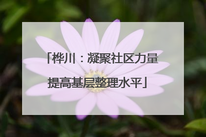 桦川：凝聚社区力量 提高基层整理水平
