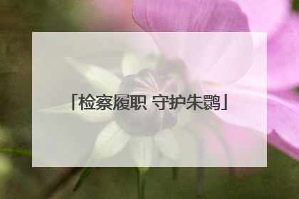 检察履职 守护朱鹮
