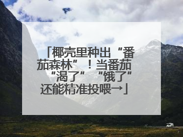 椰壳里种出“番茄森林”！当番茄“渴了”“饿了”还能精准投喂→