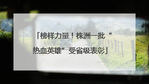 榜样力量！株洲一批“热血英雄”受省级表彰