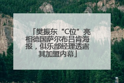 樊振东“C位”亮相德国萨尔布吕肯海报，俱乐部经理透露其加盟内幕
