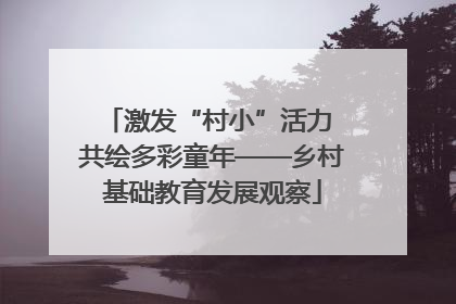 激发“村小”活力 共绘多彩童年——乡村基础教育发展观察