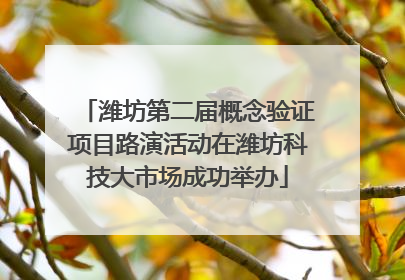 潍坊第二届概念验证项目路演活动在潍坊科技大市场成功举办