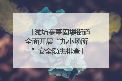 潍坊寒亭固堤街道全面开展“九小场所”安全隐患排查
