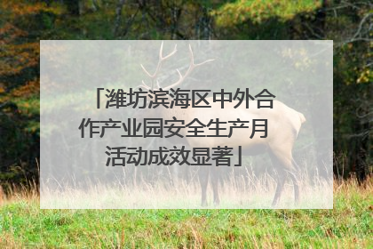 潍坊滨海区中外合作产业园安全生产月活动成效显著