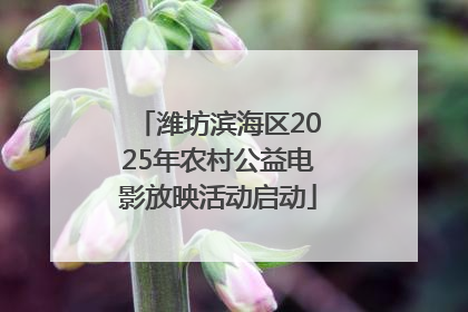 潍坊滨海区2025年农村公益电影放映活动启动