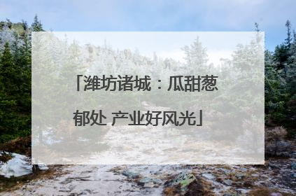 潍坊诸城：瓜甜葱郁处 产业好风光