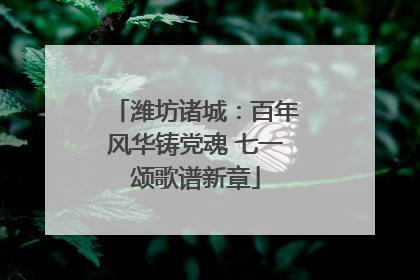 潍坊诸城：百年风华铸党魂 七一颂歌谱新章