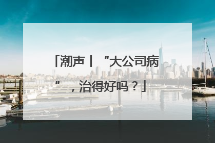 潮声丨“大公司病”，治得好吗？