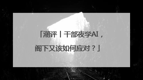 潮评丨干部夜学AI，阁下又该如何应对？