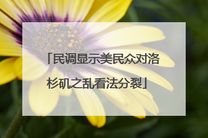 民调显示美民众对洛杉矶之乱看法分裂