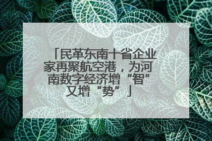 民革东南十省企业家再聚航空港，为河南数字经济增“智”又增“势”