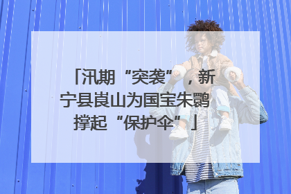 汛期“突袭”，新宁县崀山为国宝朱鹮撑起“保护伞”