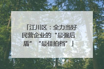 江川区：全力当好民营企业的“最强后盾”“最佳拍档”