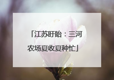 江苏盱眙：三河农场夏收夏种忙