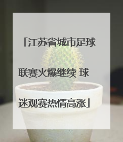 江苏省城市足球联赛火爆继续 球迷观赛热情高涨