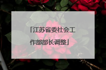 江苏省委社会工作部部长调整