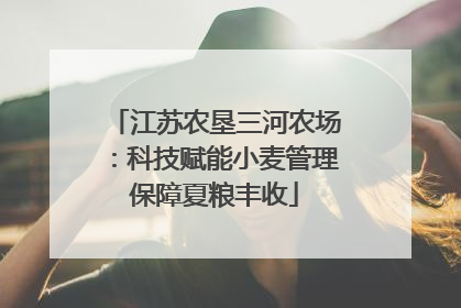江苏农垦三河农场：科技赋能小麦管理保障夏粮丰收