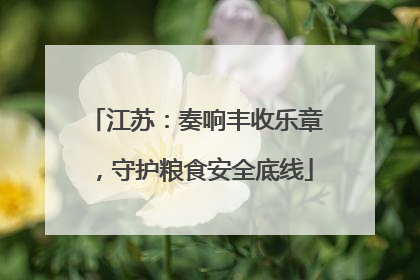 江苏:奏响丰收乐章,守护粮食安全底线