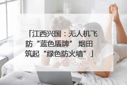 江西兴国：无人机飞防“蓝色盾牌” 烟田筑起“绿色防火墙”
