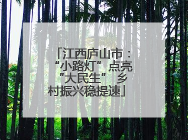 江西庐山市：“小路灯”点亮“大民生” 乡村振兴稳提速