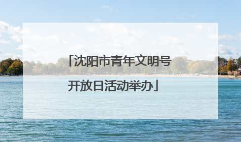 沈阳市青年文明号开放日活动举办