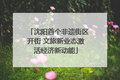 沈阳首个非遗街区开街 文旅新业态激活经济新动能