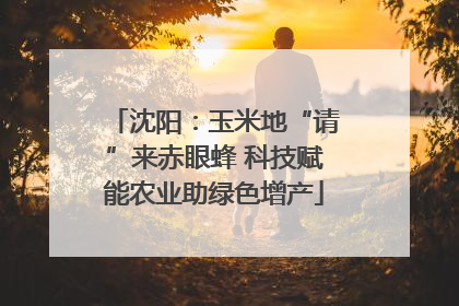 沈阳：玉米地“请”来赤眼蜂 科技赋能农业助绿色增产