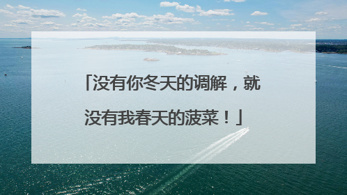 没有你冬天的调解，就没有我春天的菠菜！